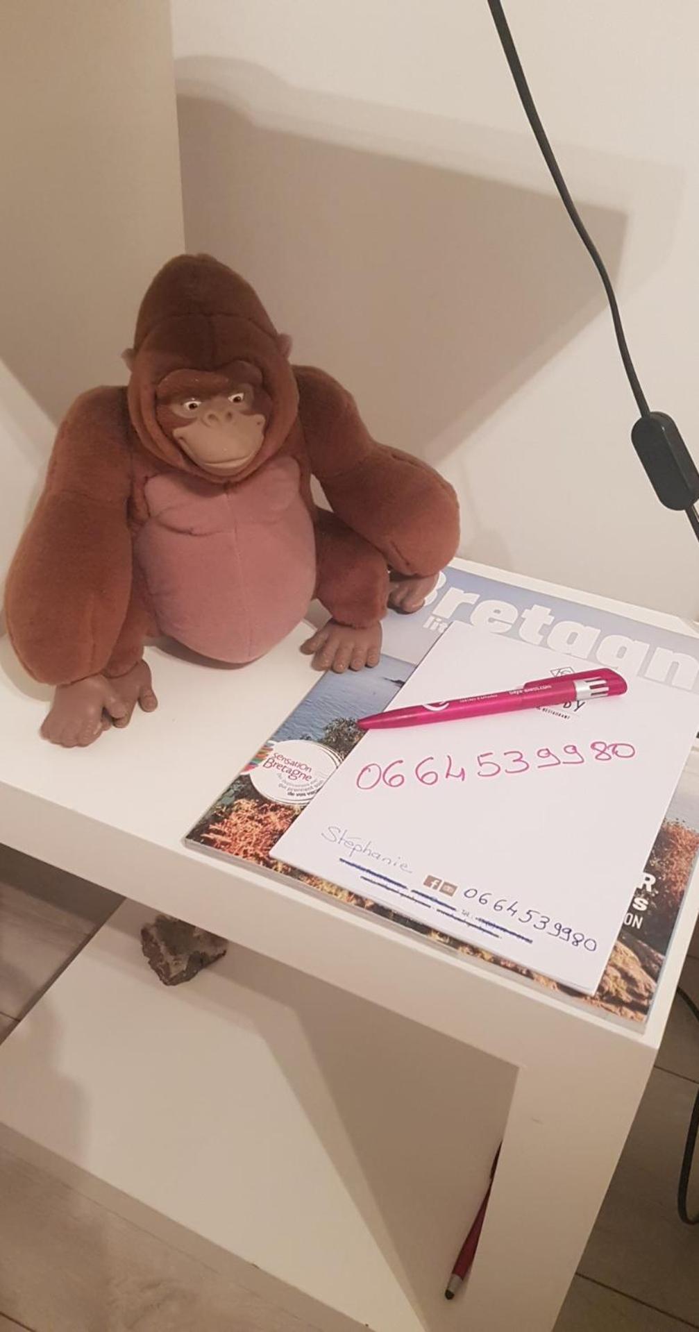 Chambre Celeste Tours Dış mekan fotoğraf
